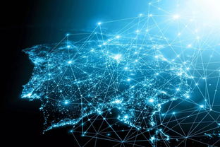 土味文化何以逆袭 从互联网数据服务视角看青年审美转向