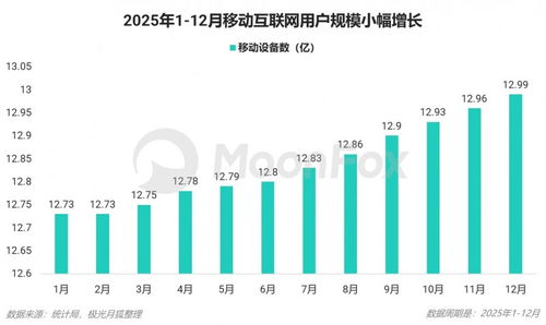 2025年第四季度移动互联网行业数据研究报告 数据服务领域的深度洞察